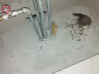 衡阳卫生间测漏水价格明细